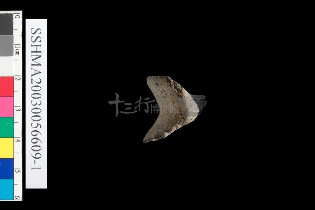 粗砂陶.腹片為主藏品圖，第4張