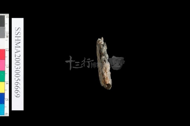 粗砂陶.腹片.口緣藏品圖，第4張