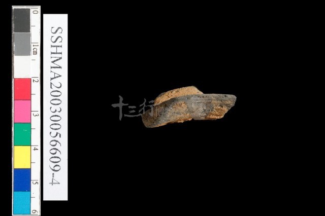 粗砂陶.腹片為主藏品圖，第24張