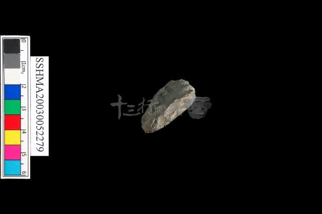 大型打製石錛藏品圖，第7張