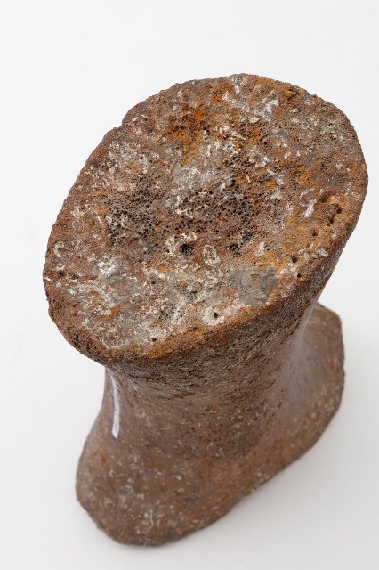 鯨掌骨藏品圖，第7張