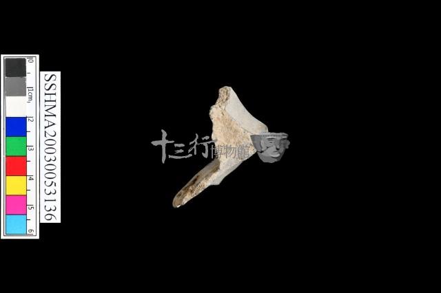 光面灰陶 凹底藏品圖，第2張