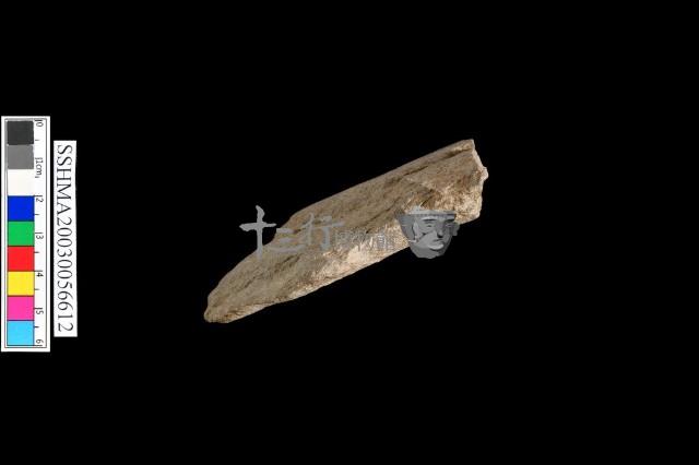 斧形石器藏品圖，第2張