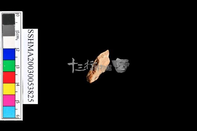 細砂陶.腹片為主藏品圖，第12張