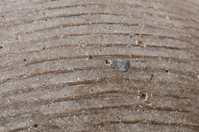 浮桶藏品圖，第12張