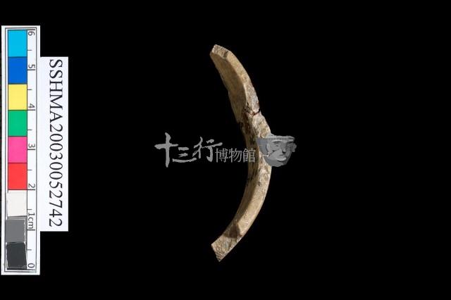 扁平體石環藏品圖，第2張
