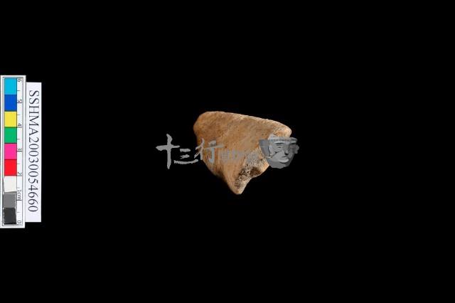 純紋陶 口緣藏品圖，第2張