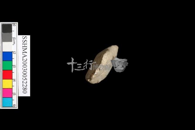 大型磨製石錛藏品圖，第2張
