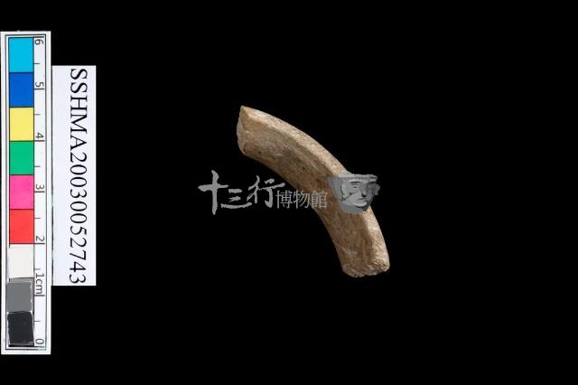 扁平體石環藏品圖，第2張