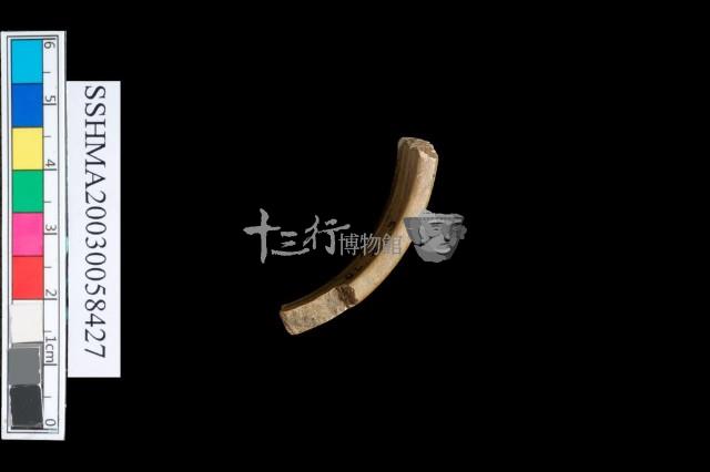 石環藏品圖，第2張