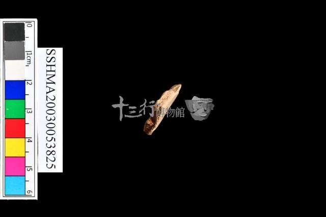 細砂陶.腹片為主藏品圖，第10張