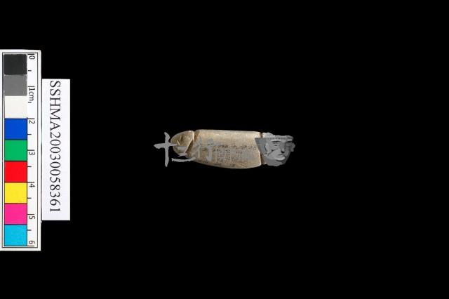 網墬藏品圖，第5張