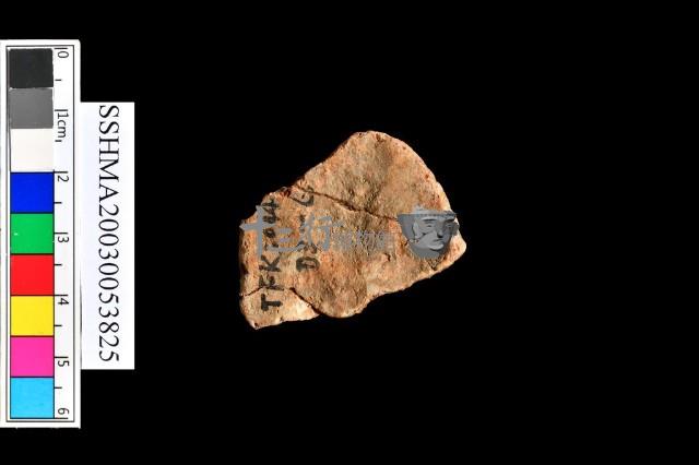 細砂陶.腹片為主藏品圖，第5張