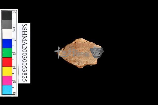 細砂陶.腹片為主藏品圖，第9張