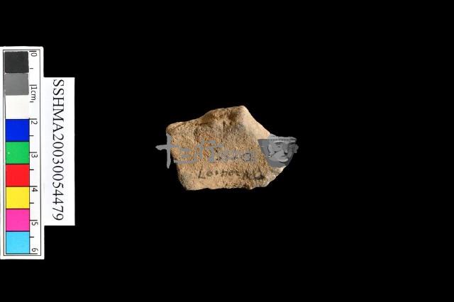 細砂陶.腹片.頸(方格紋)藏品圖，第29張