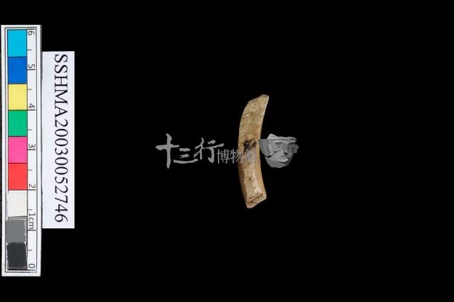 圓體石環藏品圖，第3張