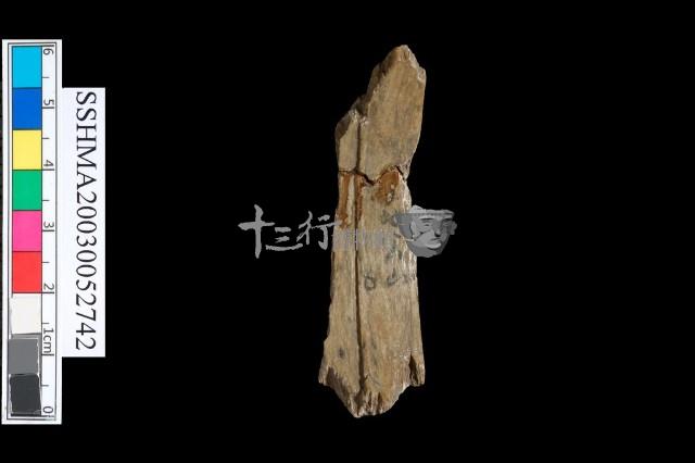 扁平體石環藏品圖，第3張