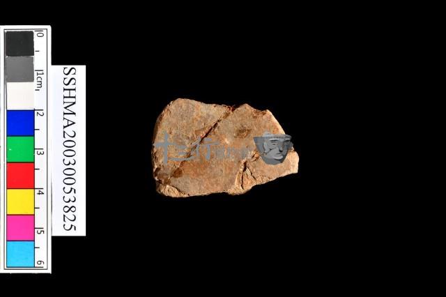 細砂陶.腹片為主藏品圖，第3張