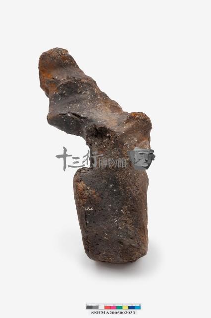 古菱齒象脊椎骨藏品圖，第3張