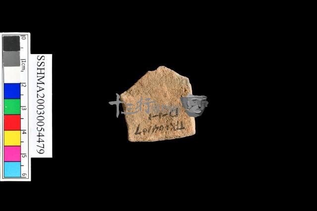 細砂陶.腹片.頸(方格紋)藏品圖，第23張