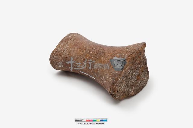 鯨掌骨藏品圖，第6張