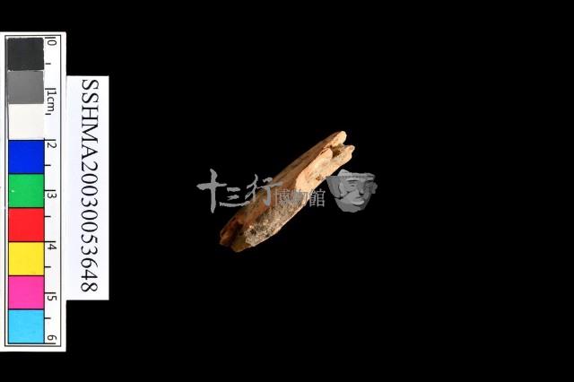 泥質陶.腹片(素紋)藏品圖，第6張