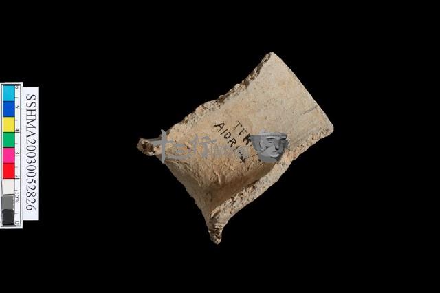 粗砂陶.頸藏品圖，第4張