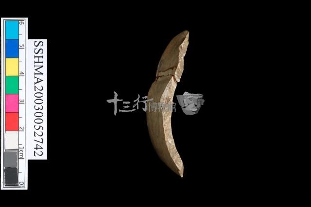 扁平體石環藏品圖，第4張