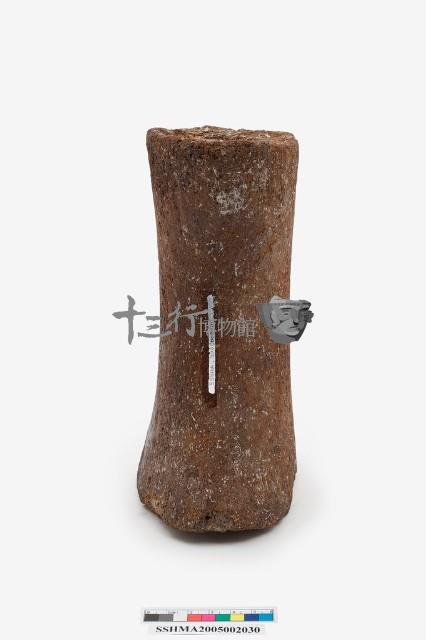 鯨掌骨藏品圖，第4張