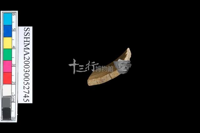 扁平體石環藏品圖，第4張