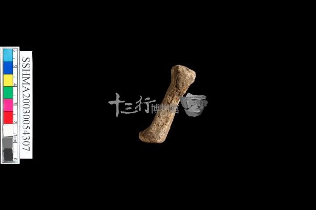 細砂陶.腹片為主藏品圖，第4張