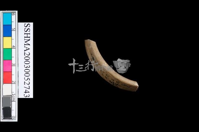扁平體石環藏品圖，第4張