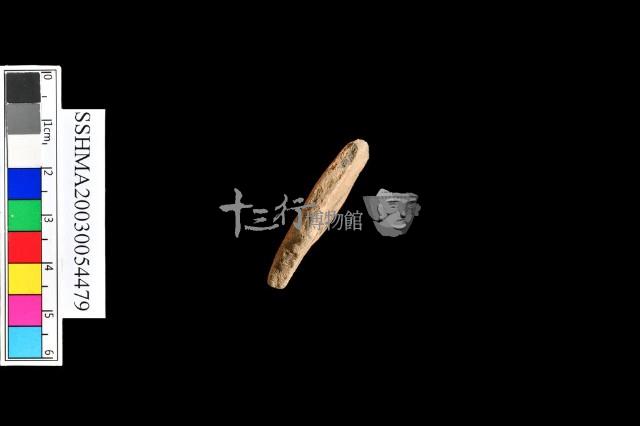 細砂陶.腹片.頸(方格紋)藏品圖，第24張