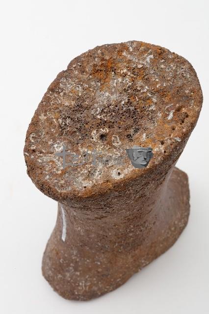 鯨掌骨藏品圖，第7張