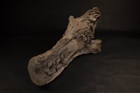 放牧藏品圖，第4張