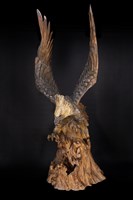 老鷹藏品圖，第2張