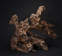 雞藏品圖，第1張