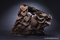 絲瓜藏品圖，第4張