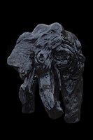巨象藏品圖，第1張