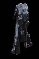 巨象藏品圖，第4張