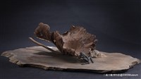 秋露的圖片