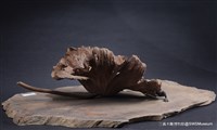 秋露藏品圖，第2張
