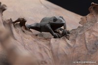 秋露藏品圖，第6張