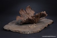 秋露藏品圖，第9張