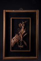 生生不息系列(四)的圖片