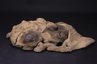 海之角藏品圖，第1張