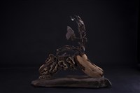 傳承藏品圖，第4張