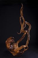 驚蟄藏品圖，第3張