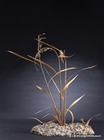 虛與實藏品圖，第10張