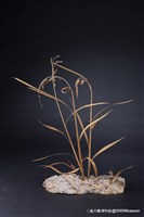 虛與實藏品圖，第11張